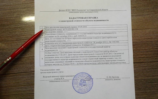 Как выглядит кадастровая справка