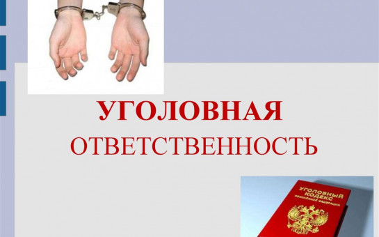 Уголовная ответственность за незаконную коллекторскую деятельность